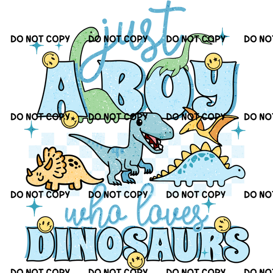 Boy Dinosaurs Fabric DTF